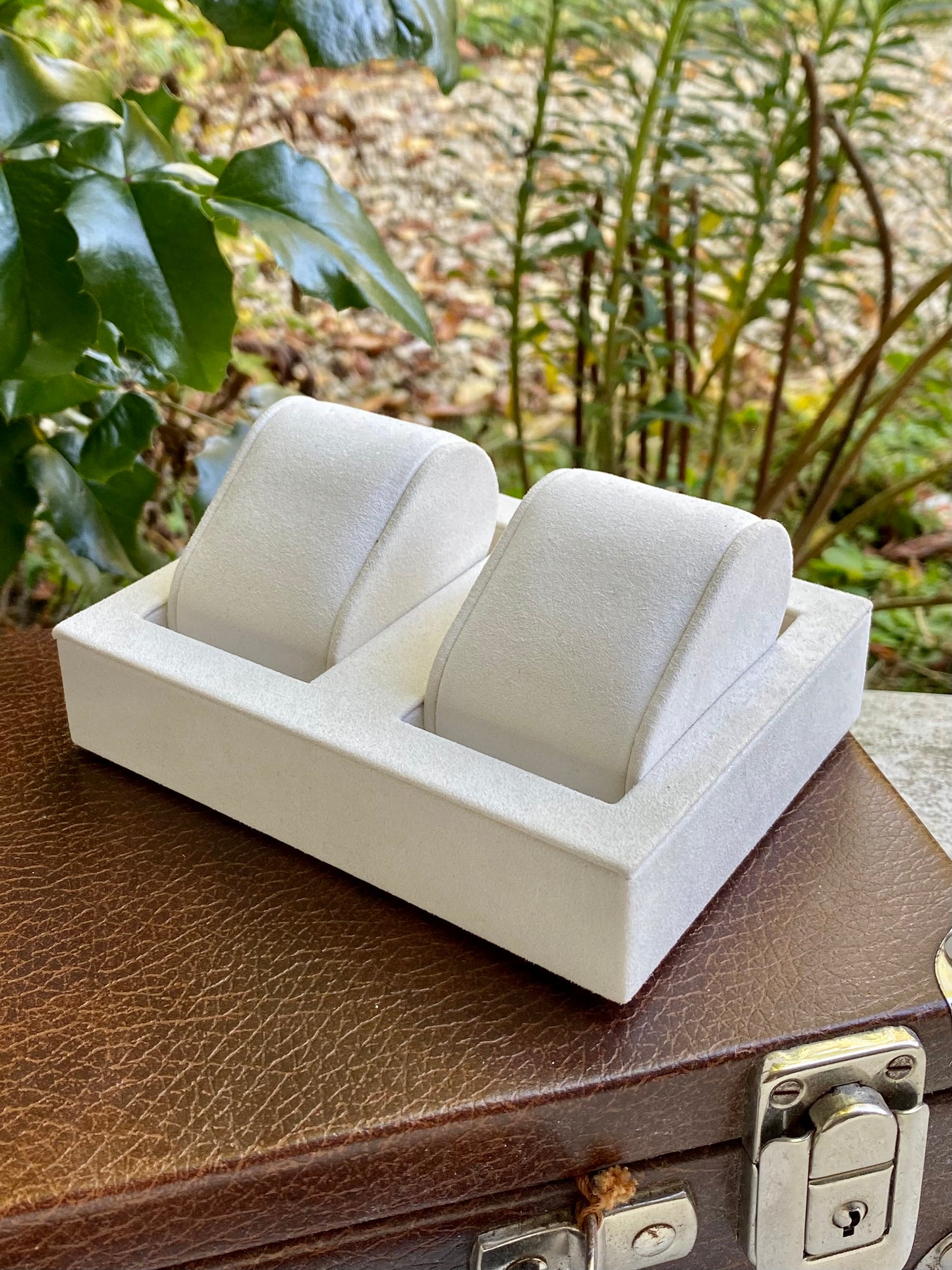 OMEGA Support de Montres - Écrin de Présentation Vitrine Horloger