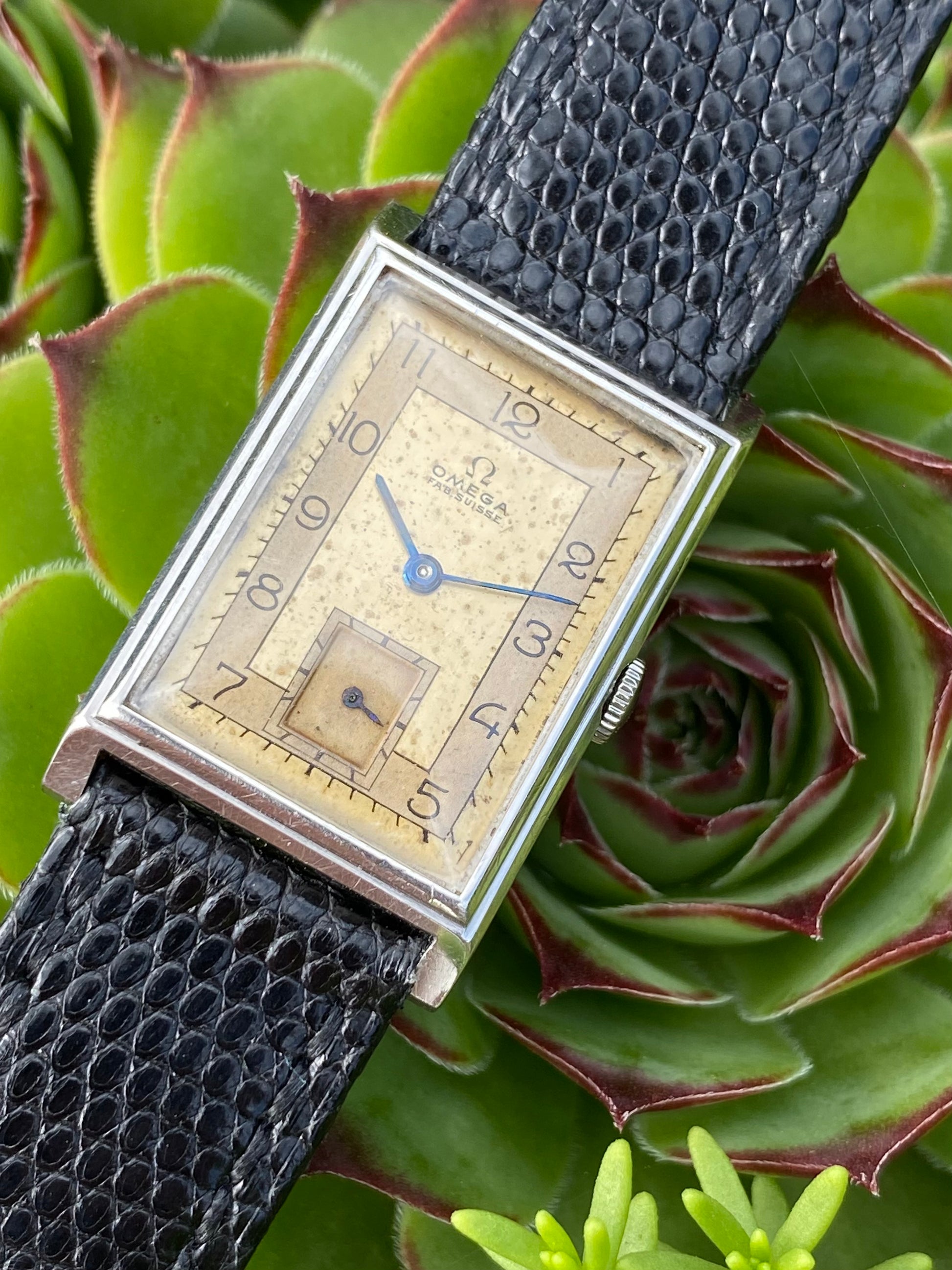 VERRE MONTRE RECTANGLE 13 X 24 mm GENEVE BASE CNTRÉ 4 COTÉS | eBay VERRE MONTRE RECTANGLE 13 X 24 mm GENEVE BASE CNTRÉ 4 COTÉS | eBay